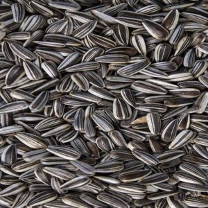 Striped Sunflower Seeds 1kg